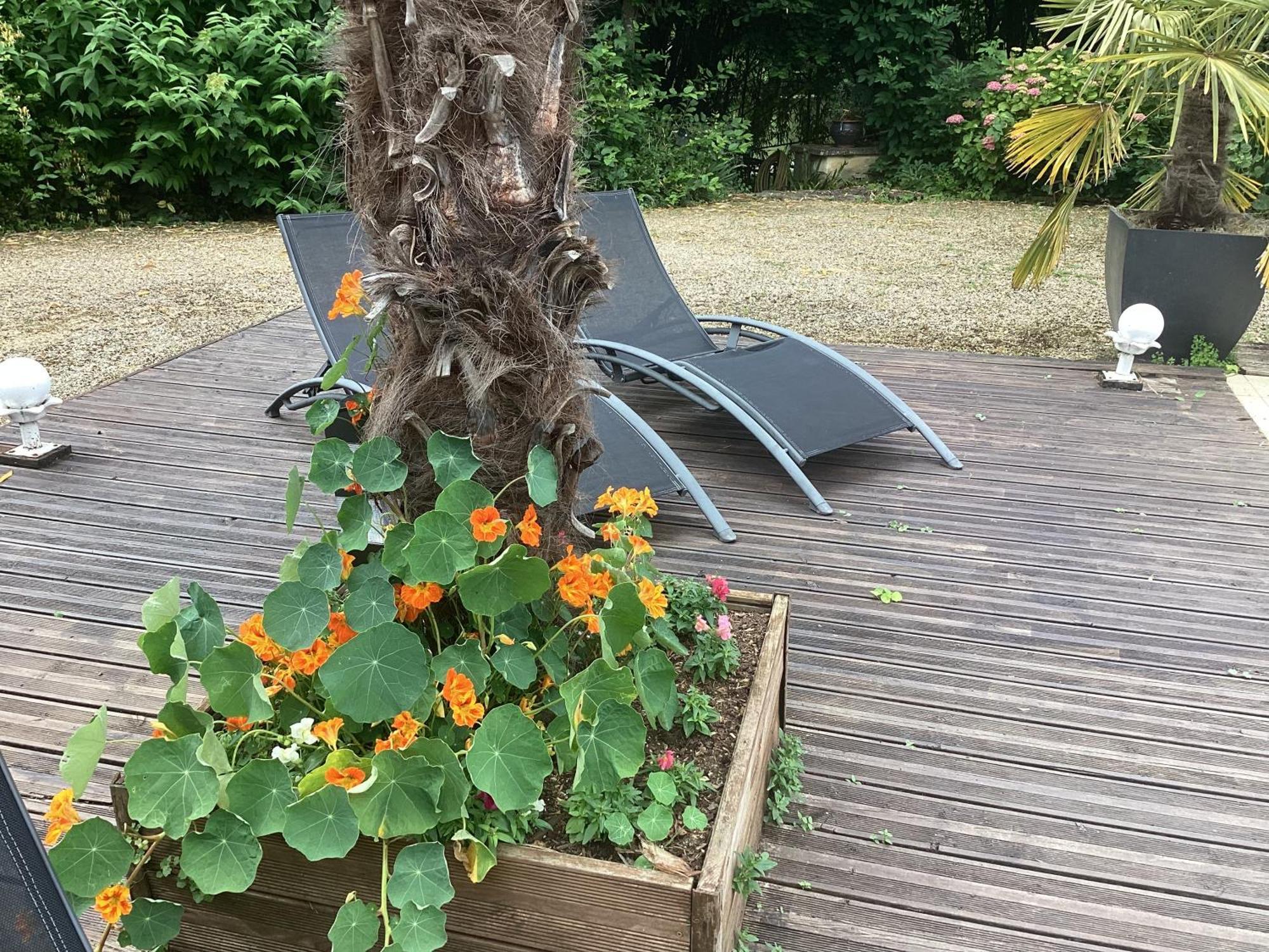 Le Lavoir Bed and Breakfast Châteauroux Buitenkant foto
